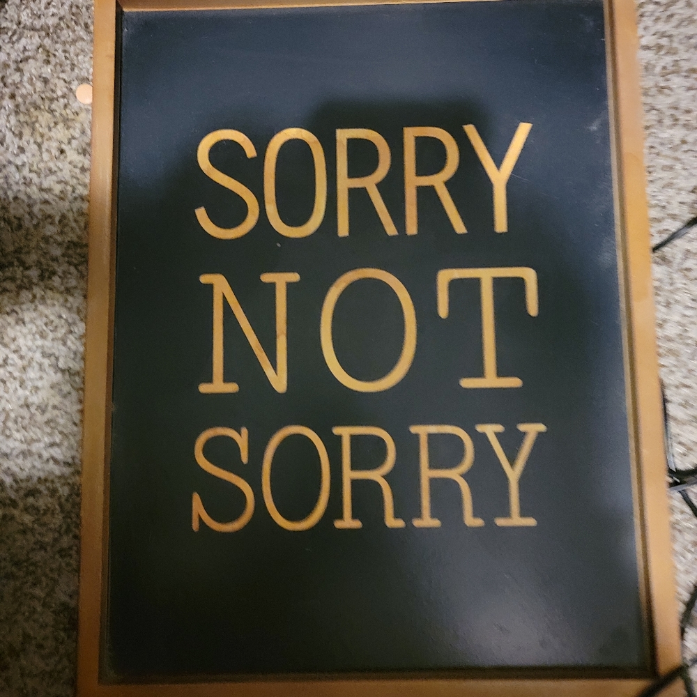 Sorry not sorry art